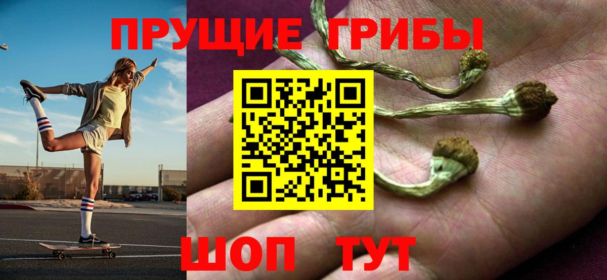 Псилоцибиновые грибы GOLDEN TEACHER  Вход с VPN  Тимашёвск 