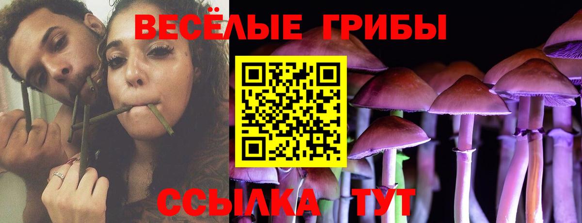 Псилоцибиновые грибы Magic Shrooms Тимашёвск